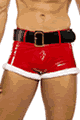 Roma Costumeのセクシー輸入下着通販 Roma Costume LRBLI787